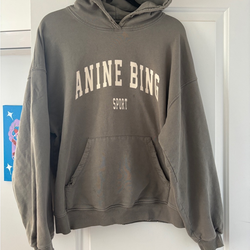 Anine Bing Sport Hoodie